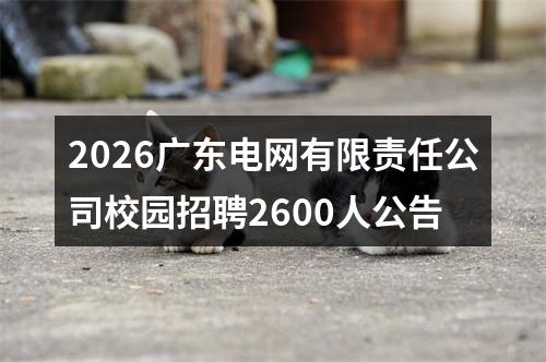 2026广东电网有限责任公司校园招聘2600人公告 图片