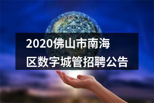 2020佛山市南海区数字城管招聘公告 图片