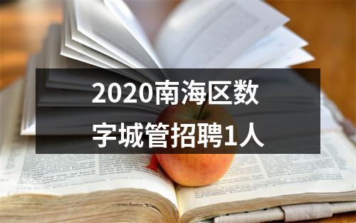 2020南海区数字城管招聘1人 图片