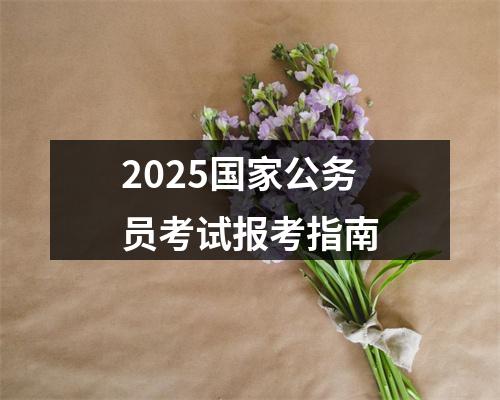 2025国家公务员考试报考指南 图片