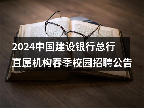 2024中国建设银行总行直属机构春季校园招聘公告 图片