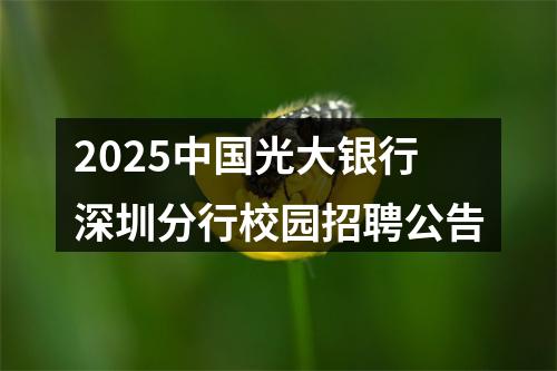 2025中国光大银行深圳分行校园招聘公告 图片