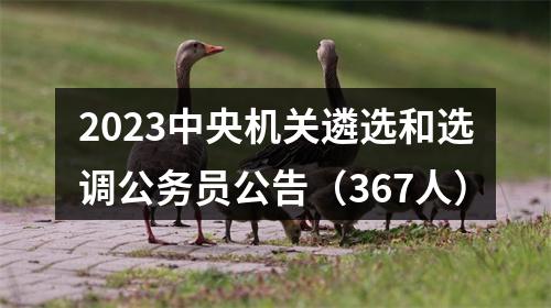 2023中央机关遴选和选调公务员公告（367人） 图片
